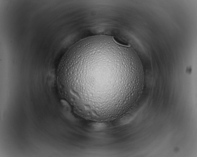 X0000103500085200809121750