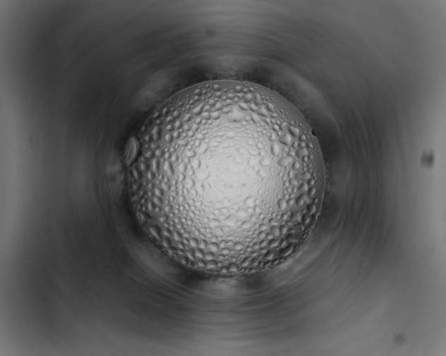 X0000103500086200809121750