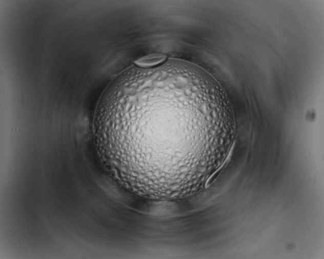 X0000103500087200809121750