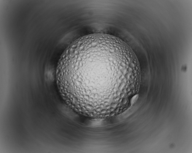 X0000103500090200809121750