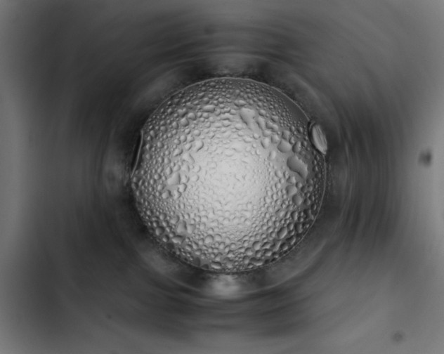 X0000103500091200809121750