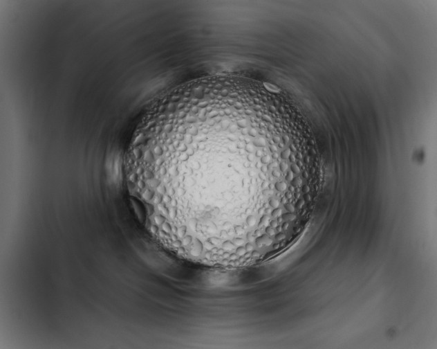 X0000103500094200809121750