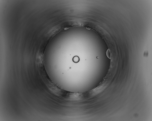 X0000103500096200809121750