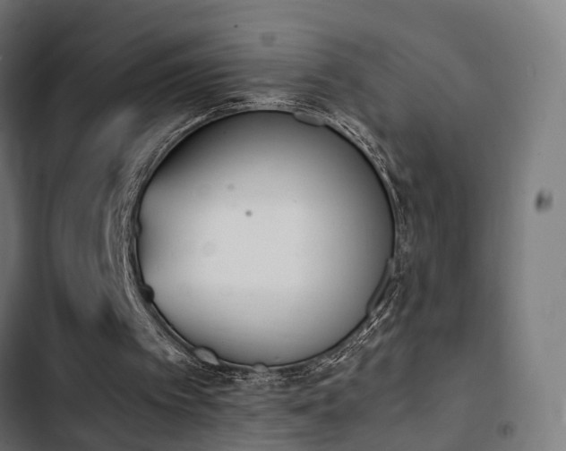 X0000103500097200809121749