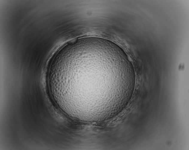 X0000103500098200809121749