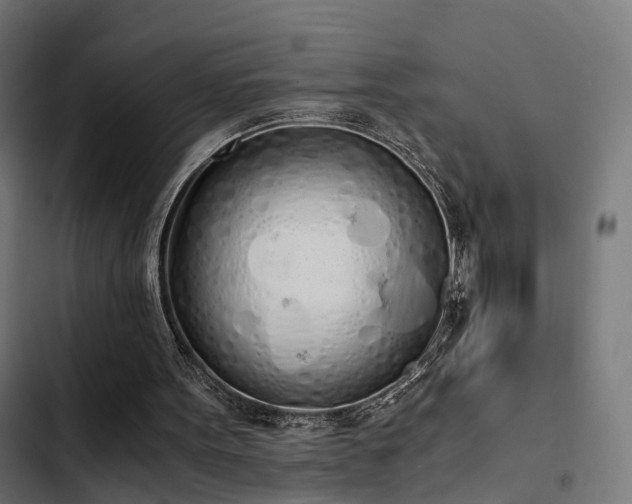 X0000103500099200809121749