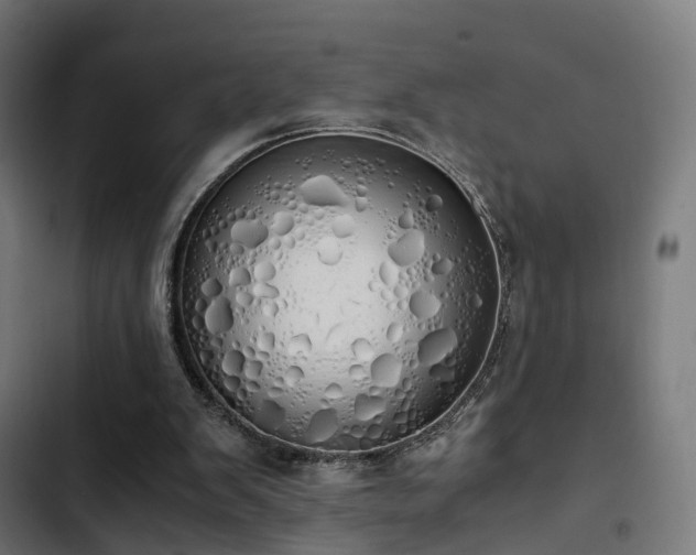 X0000103500103200809121749