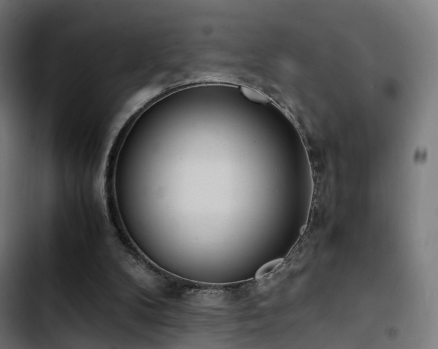 X0000103500104200809121749