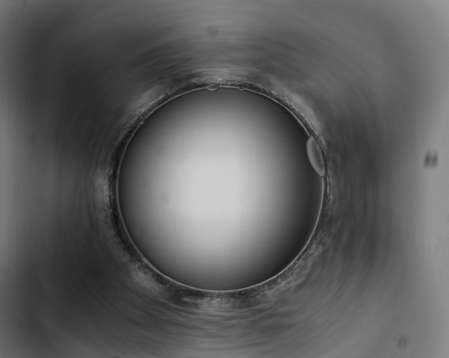 X0000103500105200809121749