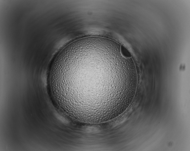 X0000103500106200809121749