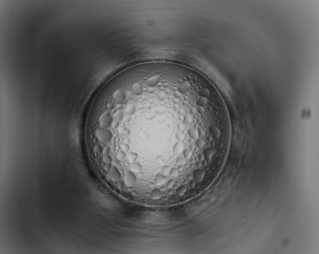 X0000103500107200809121749