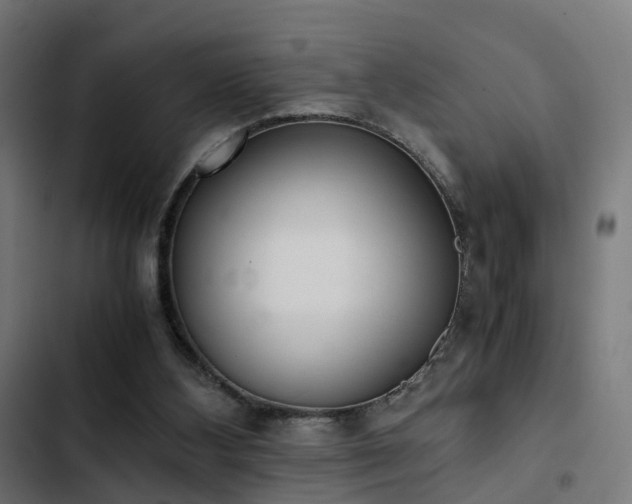 X0000103500108200809121749