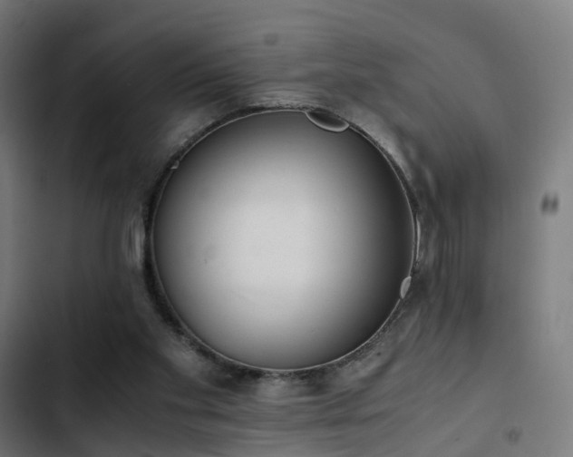 X0000103500109200809121749