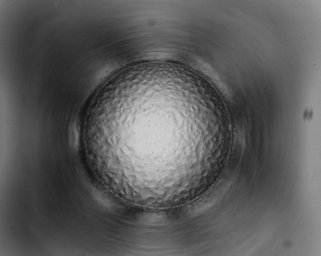 X0000103500110200809121749