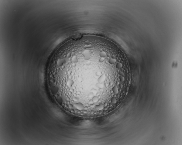 X0000103500111200809121749