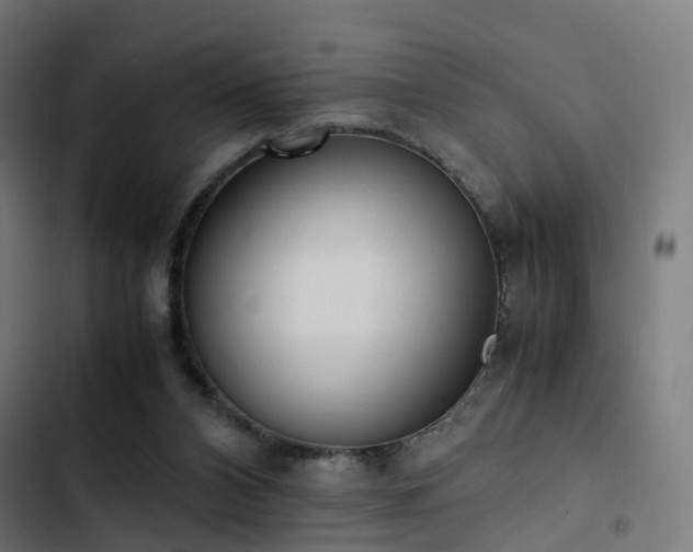 X0000103500112200809121749