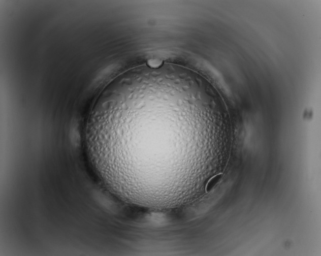 X0000103500114200809121749