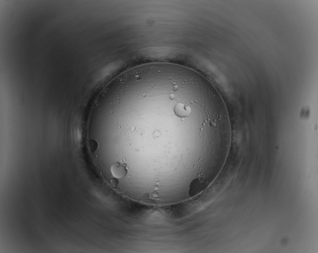 X0000103500115200809121749