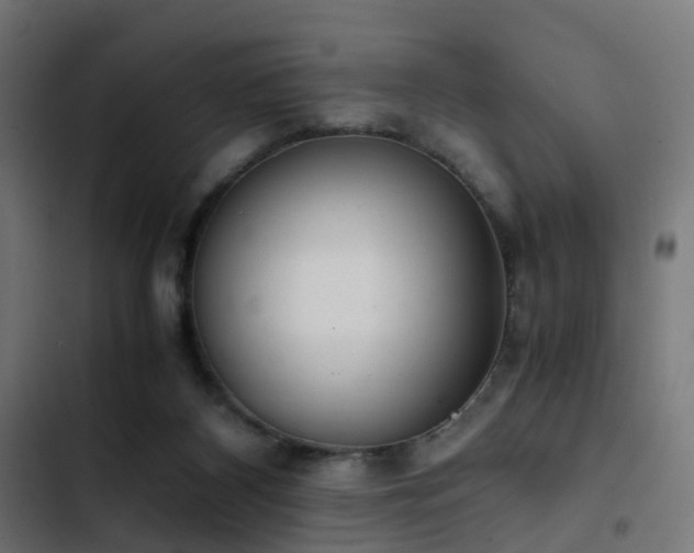 X0000103500116200809121749