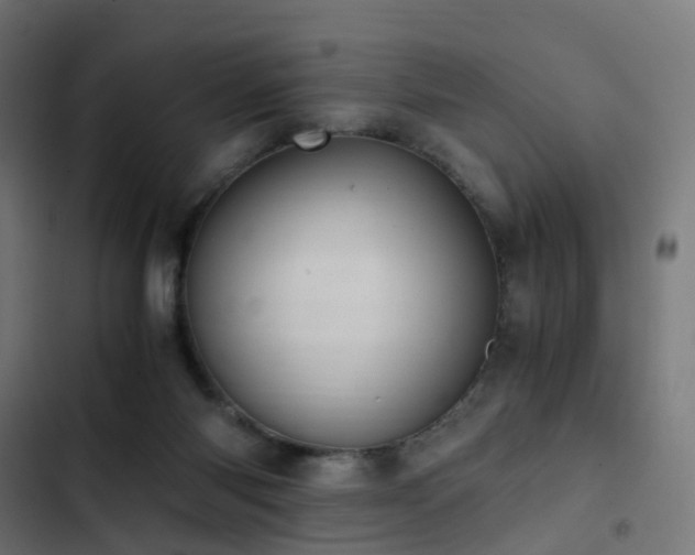 X0000103500118200809121749