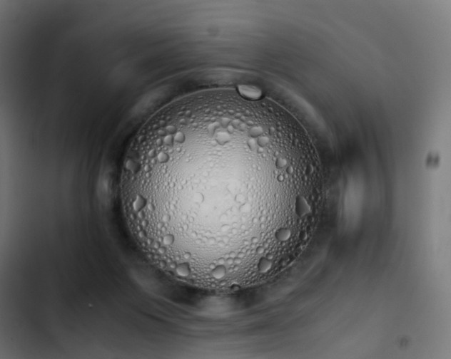 X0000103500119200809121749