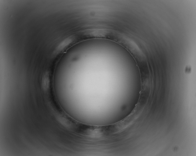 X0000103500120200809121749