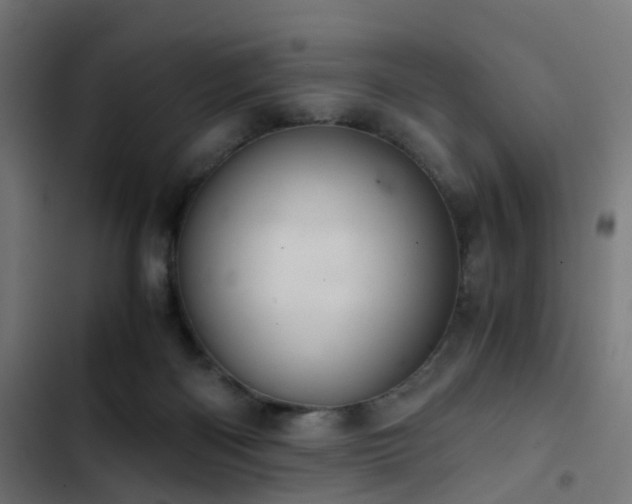 X0000103500122200809121749