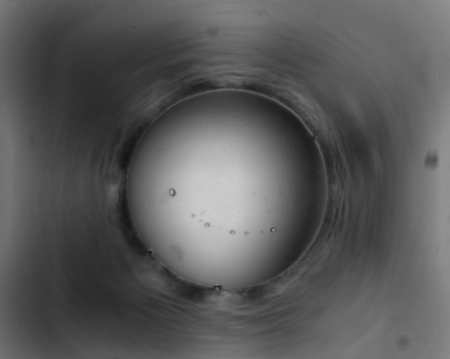 X0000103500125200809121749