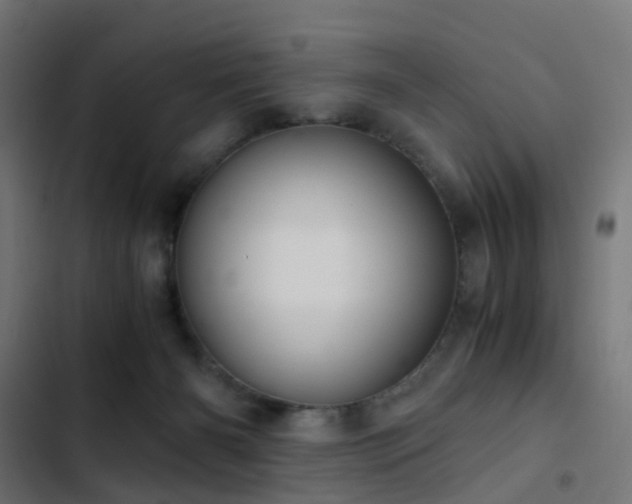 X0000103500126200809121749