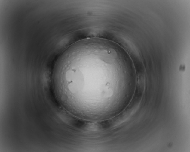 X0000103500127200809121749