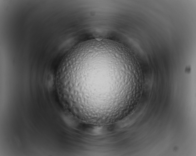 X0000103500130200809121749