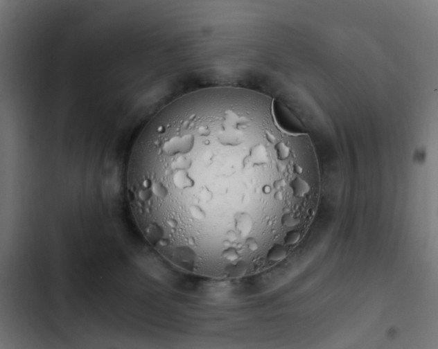 X0000103500131200809121749