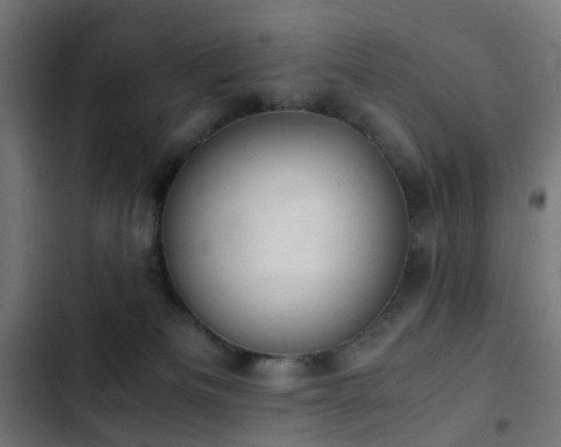 X0000103500133200809121749