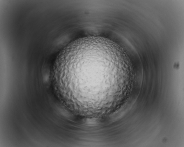 X0000103500134200809121749