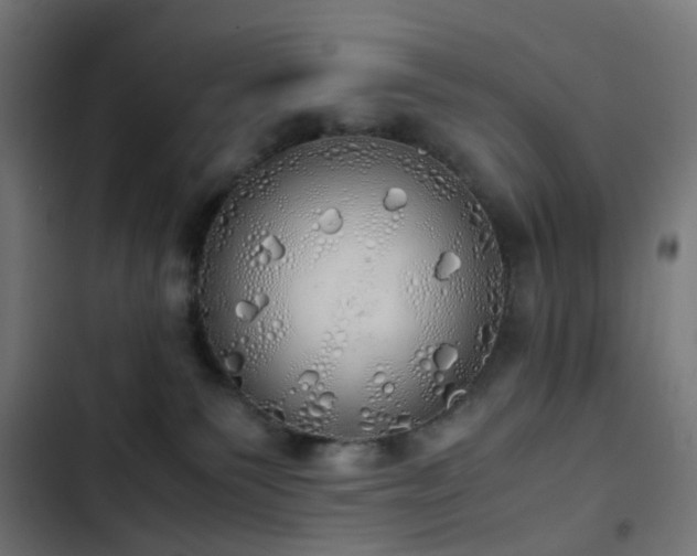 X0000103500135200809121749