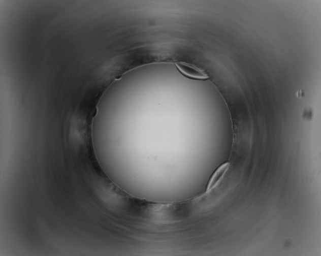 X0000103500136200809121749