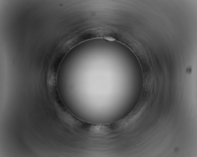 X0000103500137200809121749