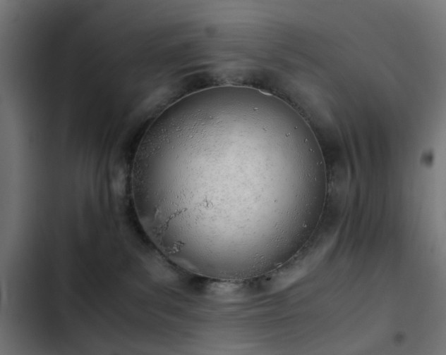 X0000103500139200809121749