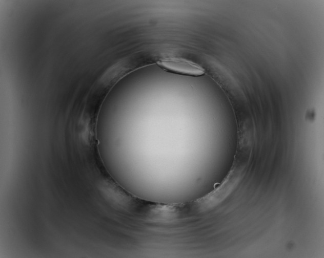 X0000103500140200809121749