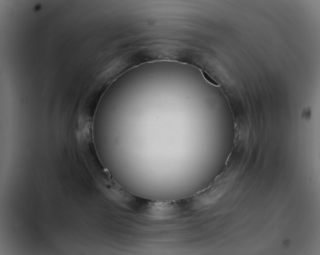 X0000103500141200809121749