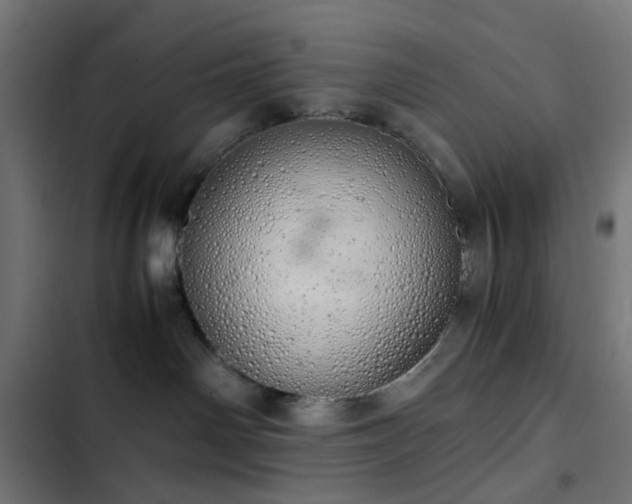 X0000103500142200809121749