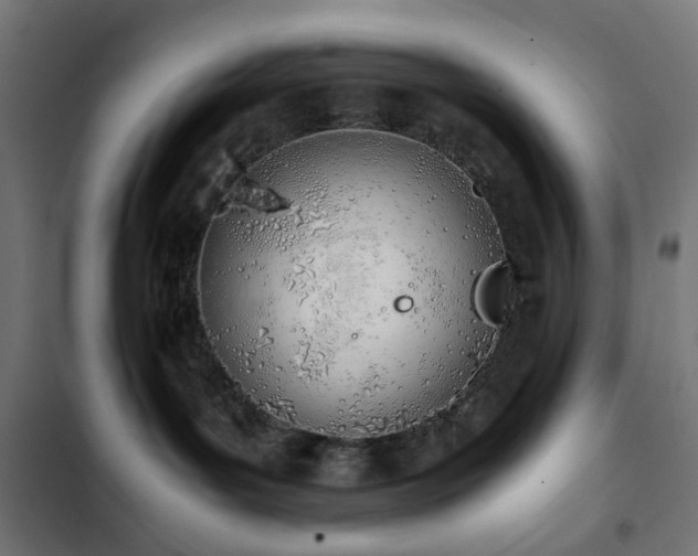 X0000103500143200809121749