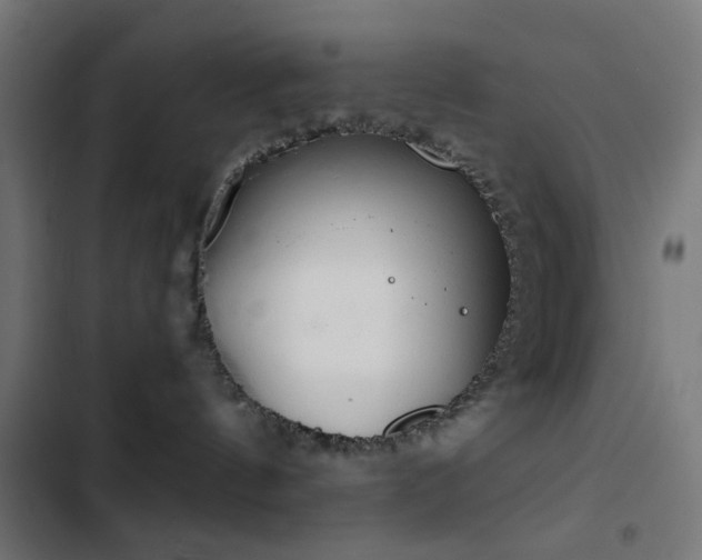 X0000103500144200809121749