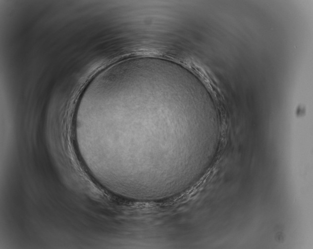 X0000103500145200809121748