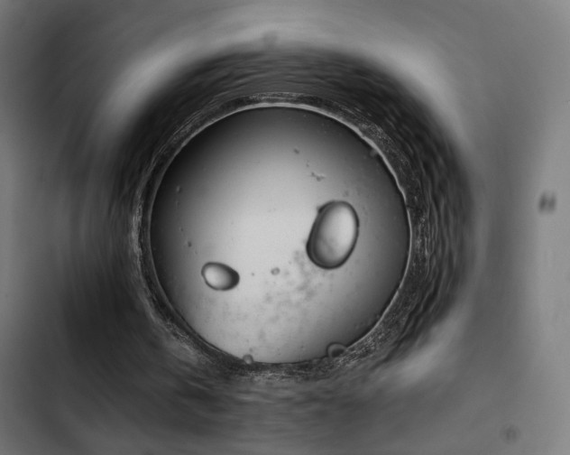 X0000103500146200809121748