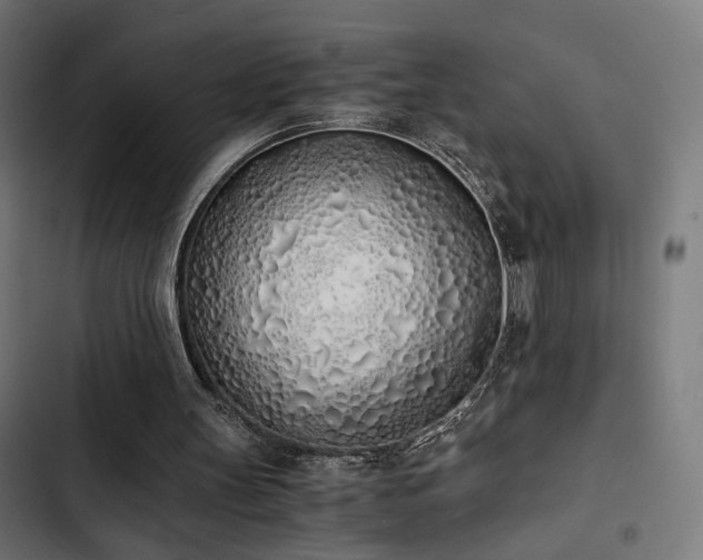 X0000103500147200809121748