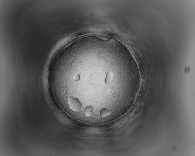 X0000103500149200809121748