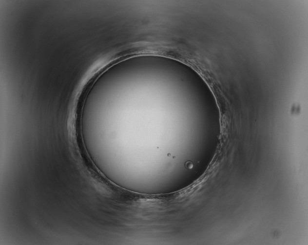 X0000103500150200809121748