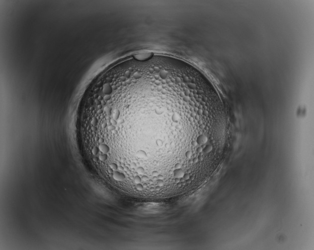 X0000103500151200809121748