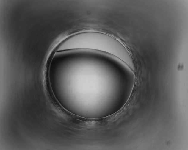 X0000103500152200809121748